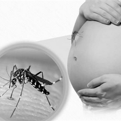 寨卡病毒到底有多大的危害 有什么症状?